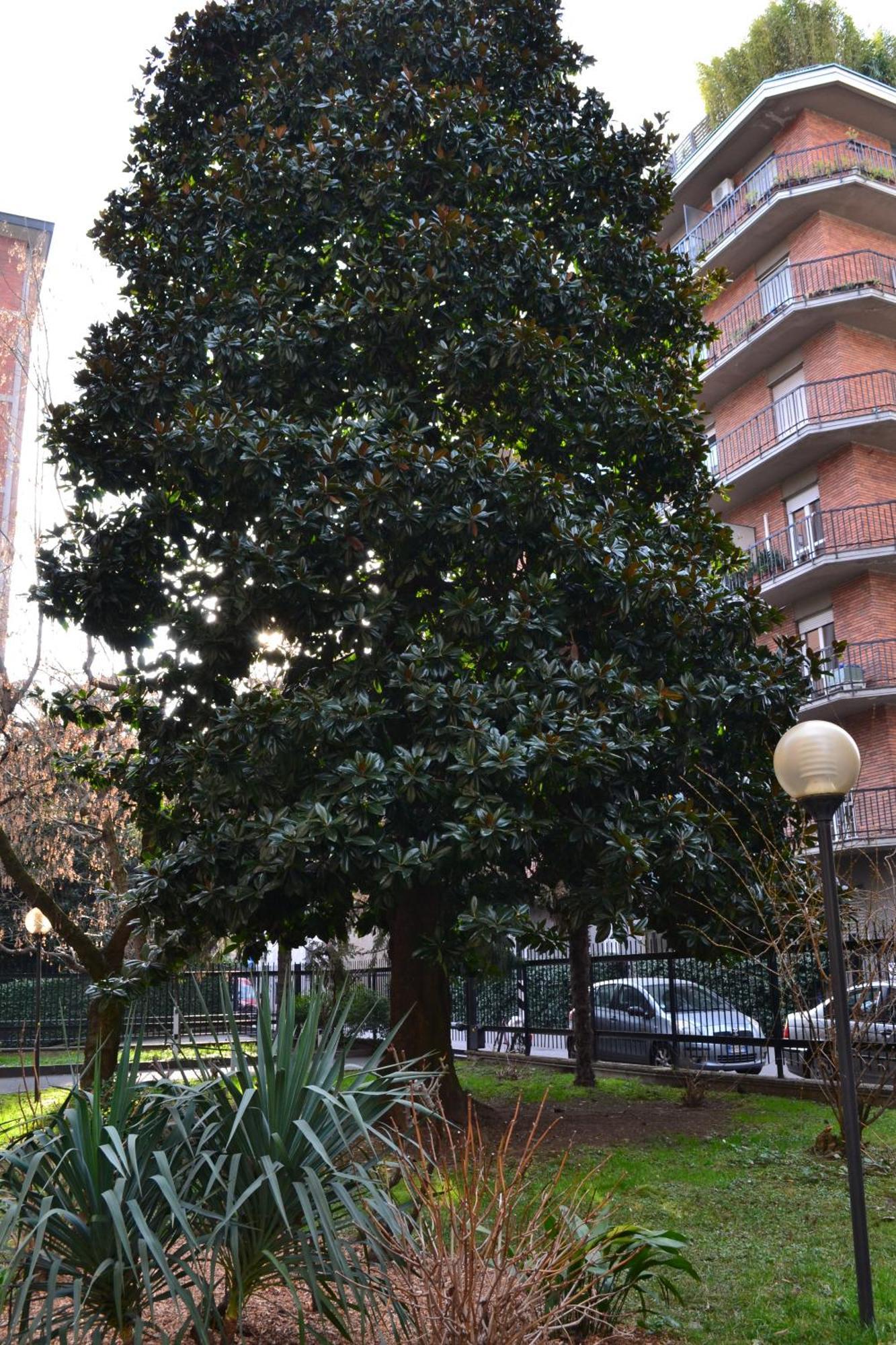 Apartmán Mocenigo4 Milán Exteriér fotografie
